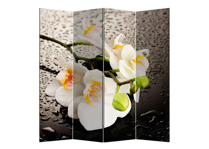Ширма 1111-4 "Белая орхидея и капли" (4 панели)